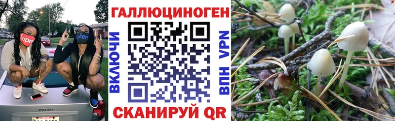 Купить закладки  Комсомольск  Псилоцибиновые грибы мицелий 